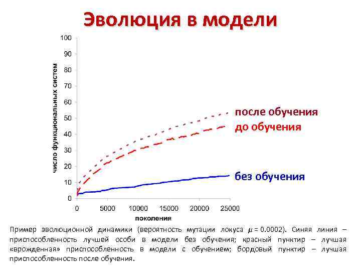 Эволюция в модели после обучения до обучения без обучения Пример эволюционной динамики (вероятность мутации