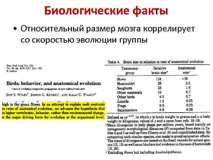 Биологические факты • Относительный размер мозга коррелирует со скоростью эволюции группы 