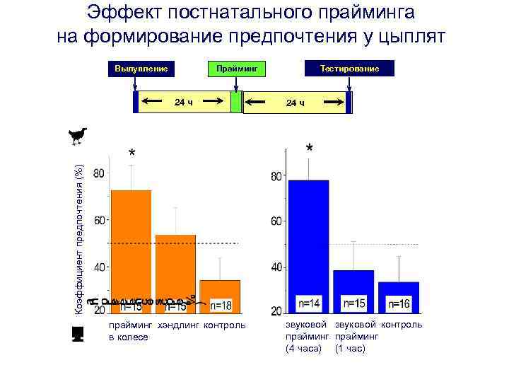 Эффект постнатального прайминга на формирование предпочтения у цыплят Вылупление Тестирование Прайминг 24 ч Коэффициент