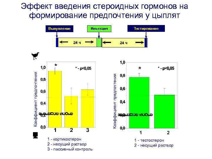 Эффект введения стероидных гормонов на формирование предпочтения у цыплят Вылупление Тестирование Инъекция 24 ч