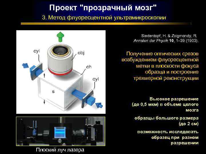 Проект 