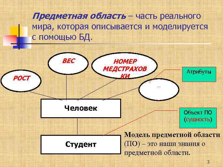 Предметная область – часть реального мира, которая описывается и моделируется с помощью БД. ВЕС