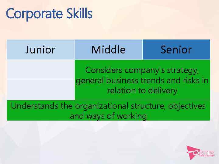 Corporate Skills Junior Middle Senior Considers company's strategy, general business trends and risks in