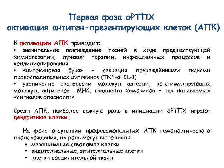 Первая фаза о. РТПХ активация антиген-презентирующих клеток (АПК) К активации АПК приводит: • значительное