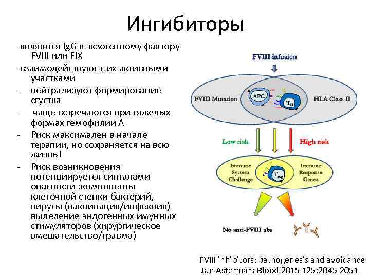 Ингибиторы -являются Ig. G к экзогенному фактору FVIII или FIX -взаимодействуют с их активными