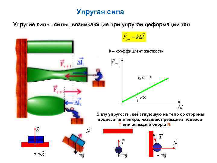 Упругие силы. Сила реакции подвеса. При упругой деформации. Упругие и неупругие силы.