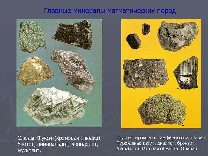 Главные минералы магматических пород Слюды: Фуксит(хромовая слюдка), биотит, цинивальдит, лепидолит, мусковит. Группа пироксенов, амфиболов