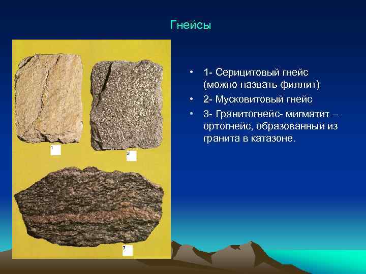 Гнейсы • 1 - Серицитовый гнейс (можно назвать филлит) • 2 - Мусковитовый гнейс