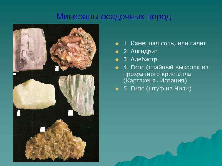 Минералы осадочных пород u u u 1. Каменная соль, или галит 2. Ангидрит 3.
