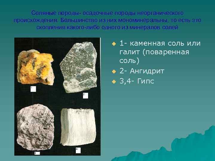Соляные породы- осадочные породы неорганического происхождения. Большинство из них мономинеральны, то есть это скопления