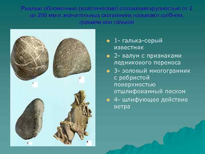 Рыхлые обломочные (кластические) отложения крупностью от 2 до 200 мм в значительных скоплениях называют