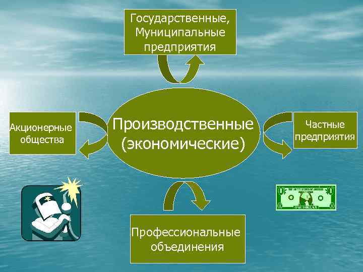 Государственные, Муниципальные предприятия Акционерные общества Производственные (экономические) Профессиональные объединения Частные предприятия 
