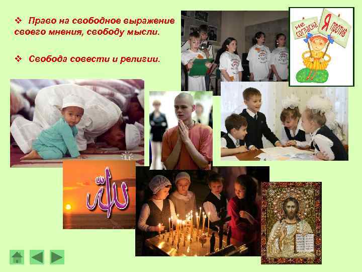 v Право на свободное выражение своего мнения, свободу мысли. v Свобода совести и религии.