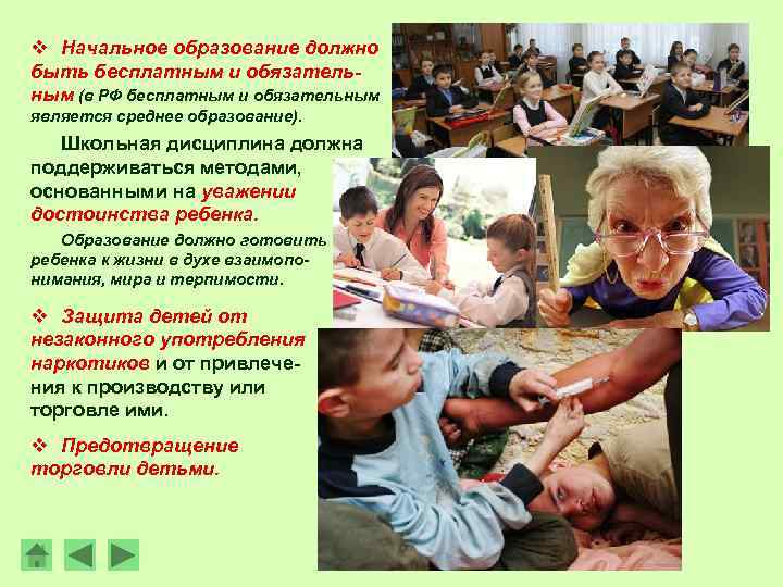 v Начальное образование должно быть бесплатным и обязательным (в РФ бесплатным и обязательным является