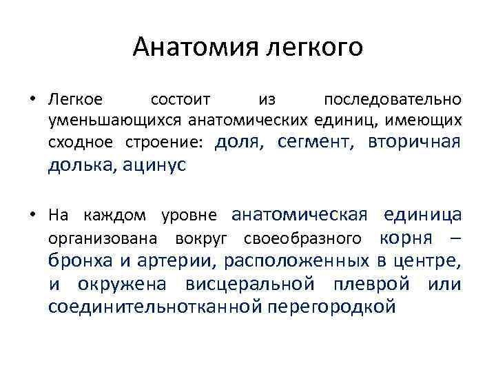 Анатомия легкого • Легкое состоит из последовательно уменьшающихся анатомических единиц, имеющих сходное строение: доля,
