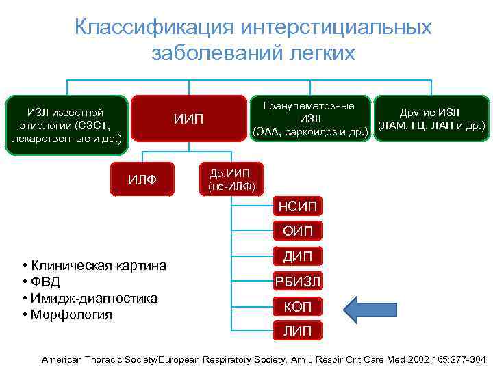 Интерстициальные заболевания. Легочные инфекции классификация. Интерстициальные болезни легких классификация. Классификация интерстициальных поражений легких. Поражение легких классификация.