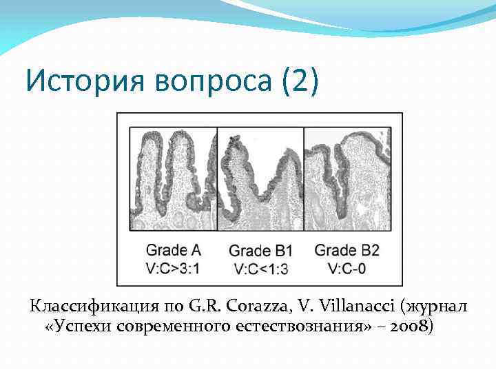 История вопроса (2) Классификация по G. R. Corazza, V. Villanacci (журнал «Успехи современного естествознания»