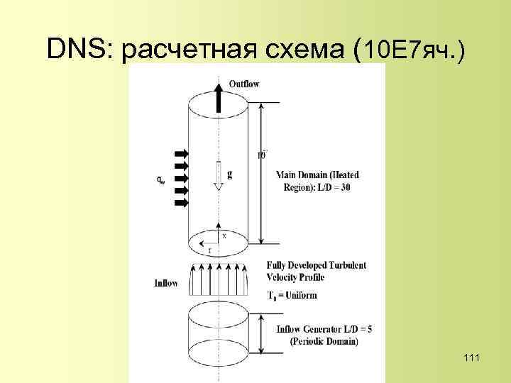 DNS: расчетная схема (10 E 7 яч. ) 111 
