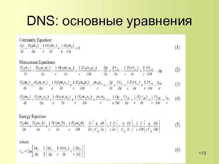 DNS: основные уравнения 113 