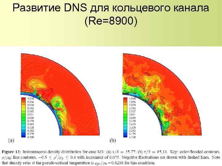 Развитие DNS для кольцевого канала (Re=8900) 115 