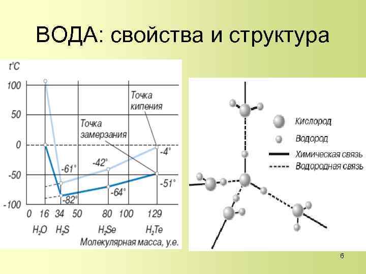 ВОДА: свойства и структура 6 