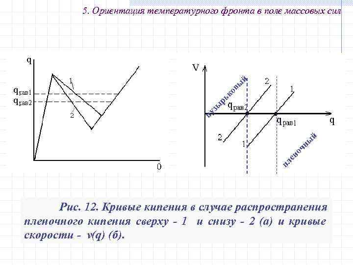 пл ен оч н ы й пу зы рь ко вы й 5. Ориентация