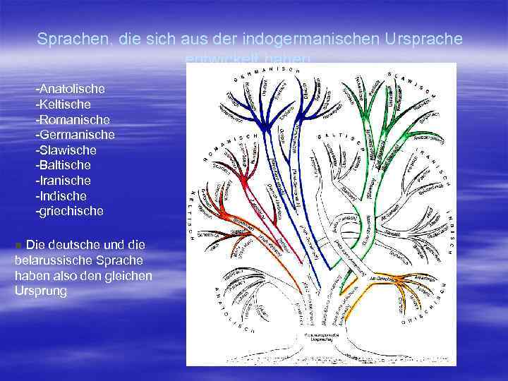 Sprachen, die sich aus der indogermanischen Ursprache entwickelt haben: -Anatolische -Keltische -Romanische -Germanische -Slawische