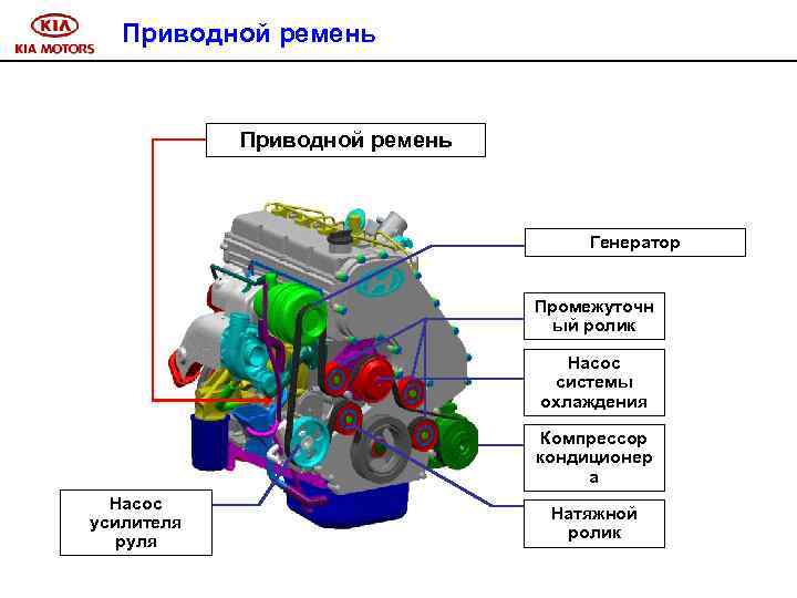 Приводной ремень Генератор Промежуточн ый ролик Насос системы охлаждения Компрессор кондиционер а Насос усилителя