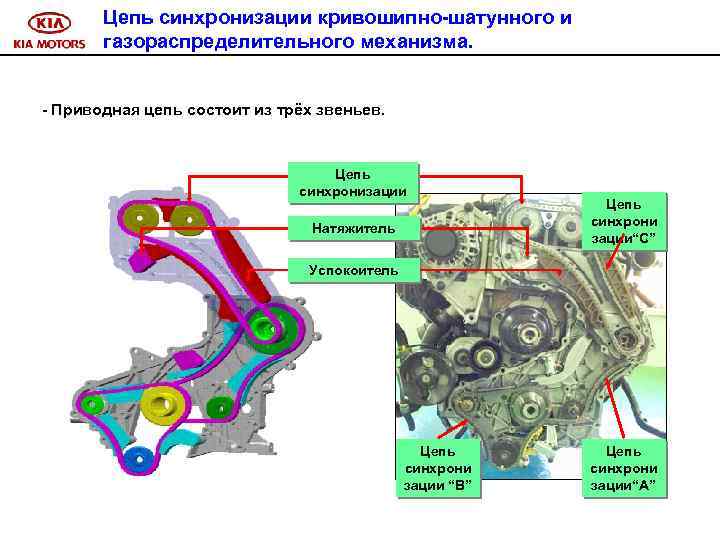 Цепь синхронизации кривошипно-шатунного и газораспределительного механизма. - Приводная цепь состоит из трёх звеньев. Цепь