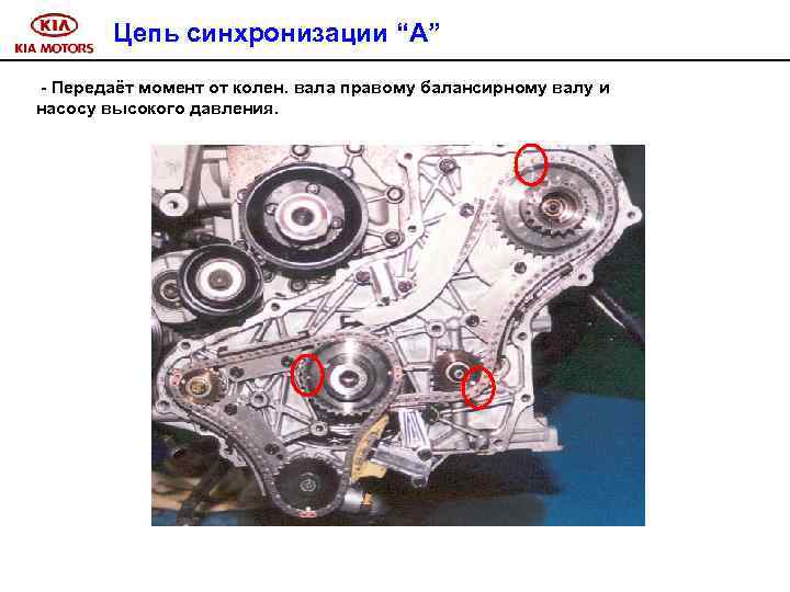 Цепь синхронизации “A” - Передаёт момент от колен. вала правому балансирному валу и насосу