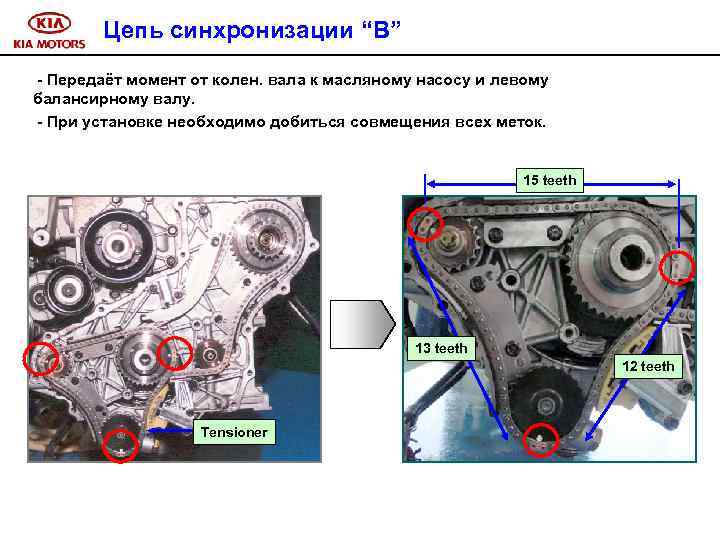 Цепь синхронизации “B” - Передаёт момент от колен. вала к масляному насосу и левому