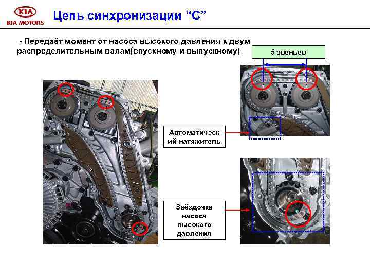 Цепь синхронизации “C” - Передаёт момент от насоса высокого давления к двум распределительным валам(впускному