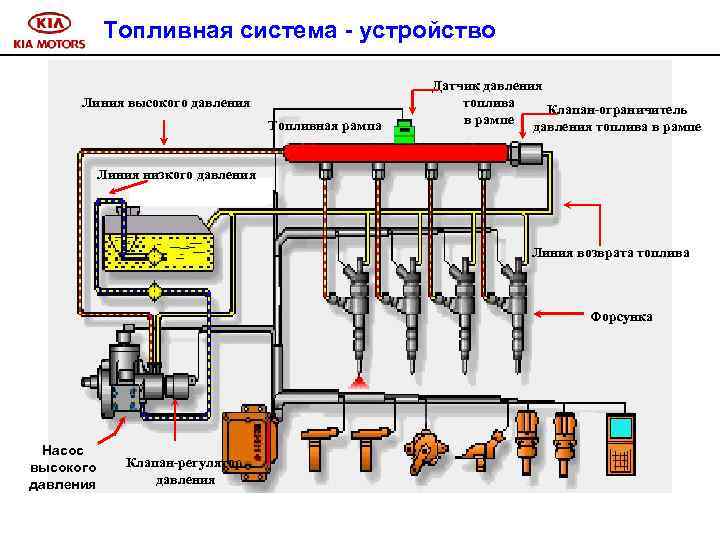 Топливная система - устройство Линия высокого давления Топливная рампа Датчик давления топлива Клапан-ограничитель в