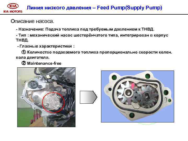 Линия низкого давления – Feed Pump(Supply Pump) Описание насоса. - Назначение: Подача топлива под