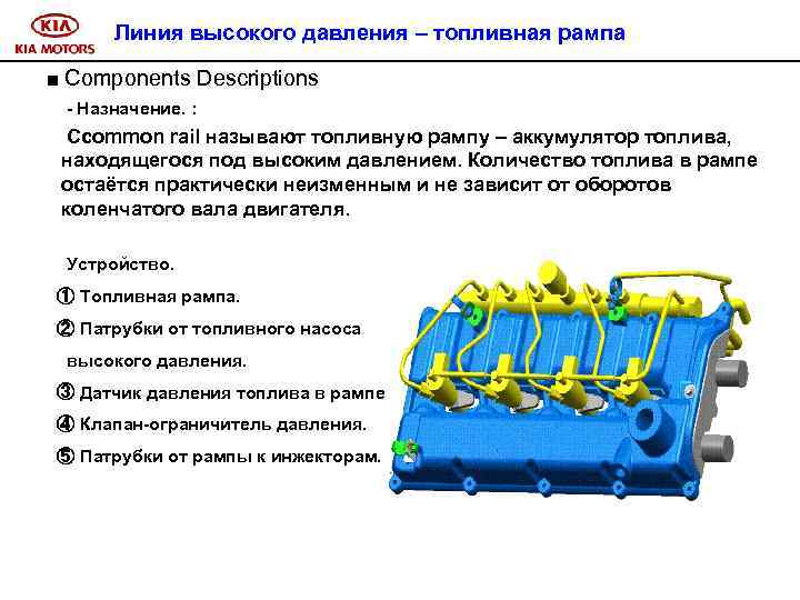 Линия высокого давления – топливная рампа ■ Components Descriptions - Назначение. : Сcommon rail
