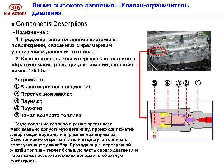 Линия высокого давления – Клапан-ограничитель давления ■ Components Descriptions - Назначение : 1. Предохранение