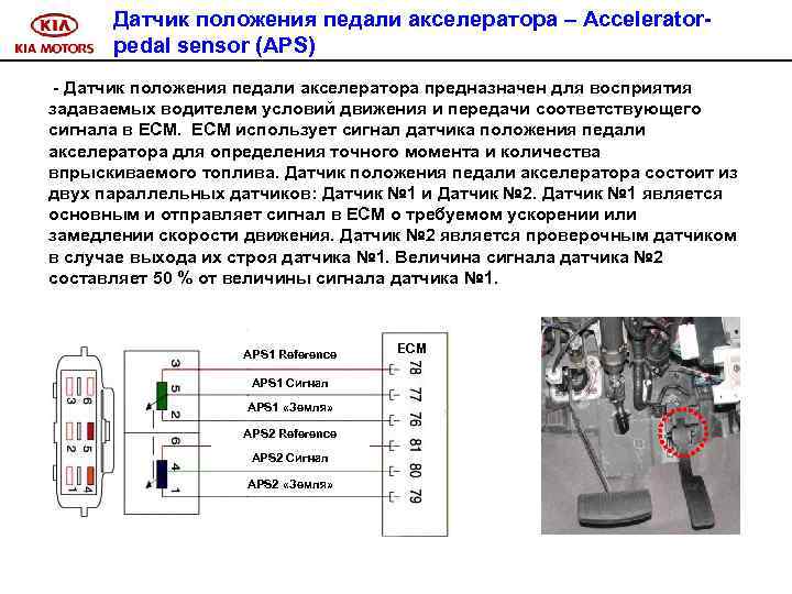 Датчик положения педали акселератора – Acceleratorpedal sensor (APS) - Датчик положения педали акселератора предназначен