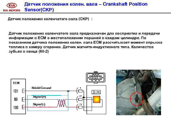 Датчик положения колен. вала – Crankshaft Position Sensor(CKP) Датчик положения коленчатого вала (CKP) :