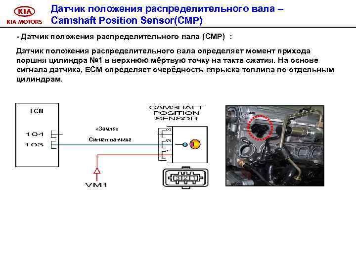 Датчик положения распределительного вала – Camshaft Position Sensor(CMP) - Датчик положения распределительного вала (CMP)