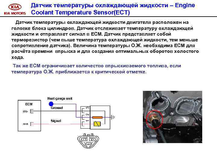 Датчик температуры охлаждающей жидкости – Engine Coolant Temperature Sensor(ECT) Датчик температуры охлаждающей жидкости двигателя