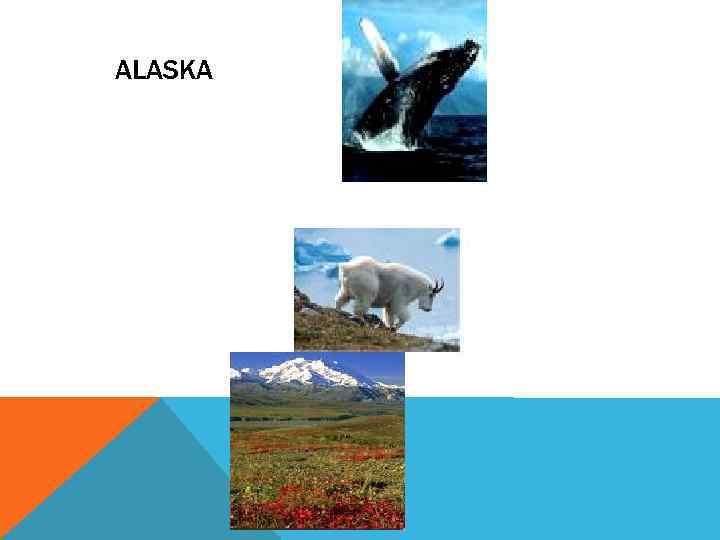 ALASKA 