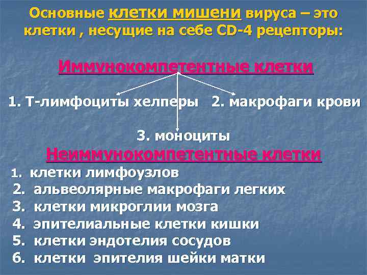 Основные клетки мишени вируса – это клетки , несущие на себе CD-4 рецепторы: Иммунокомпетентные