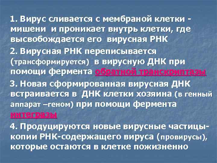 1. Вирус сливается с мембраной клетки мишени и проникает внутрь клетки, где высвобождается его
