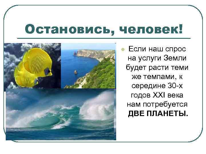 Остановись, человек! l Если наш спрос на услуги Земли будет расти теми же темпами,