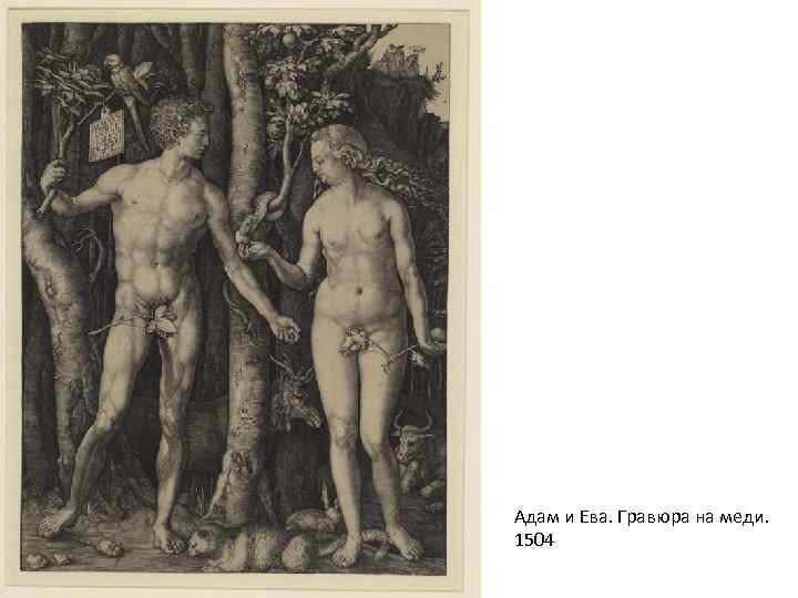 Адам и Ева. Гравюра на меди. 1504 