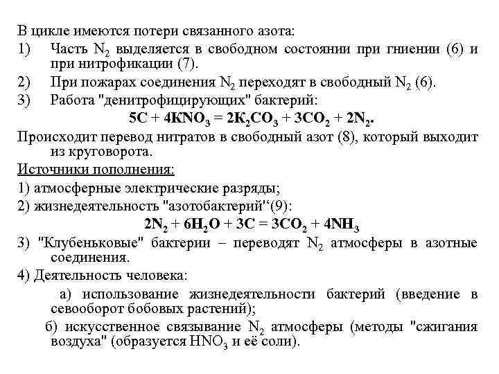 В цикле имеются потери связанного азота: 1) Часть N 2 выделяется в свободном состоянии