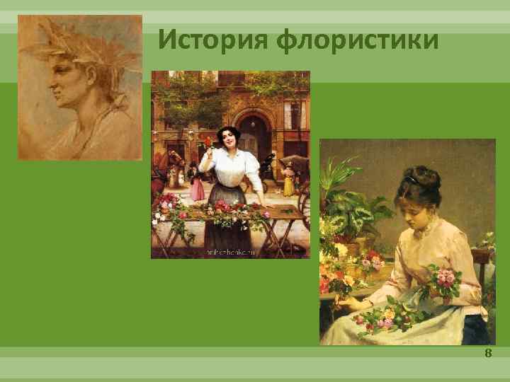 История флористики 8 