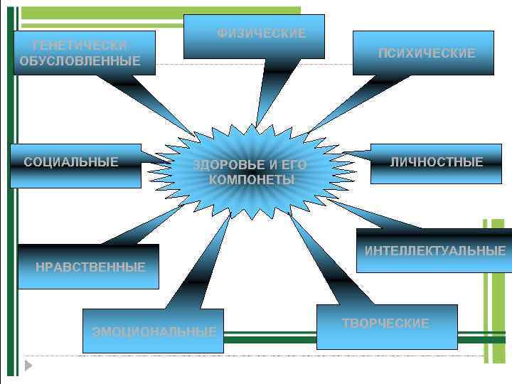 ГЕНЕТИЧЕСКИ ОБУСЛОВЛЕННЫЕ СОЦИАЛЬНЫЕ ФИЗИЧЕСКИЕ ПСИХИЧЕСКИЕ ЗДОРОВЬЕ И ЕГО КОМПОНЕТЫ ЛИЧНОСТНЫЕ ИНТЕЛЛЕКТУАЛЬНЫЕ НРАВСТВЕННЫЕ ЭМОЦИОНАЛЬНЫЕ ТВОРЧЕСКИЕ
