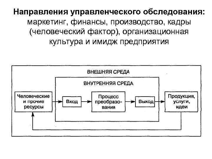 Направления управленческого обследования: маркетинг, финансы, производство, кадры (человеческий фактор), организационная культура и имидж предприятия