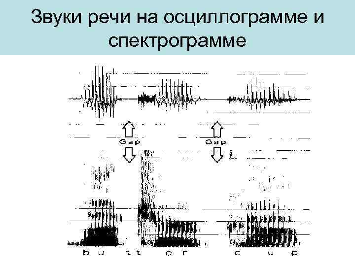 Диффузный сигнал. Осциллограмма речи. Осциллограмма звука. Осциллограмма и спектрограмма. Звуковая спектрограмма.